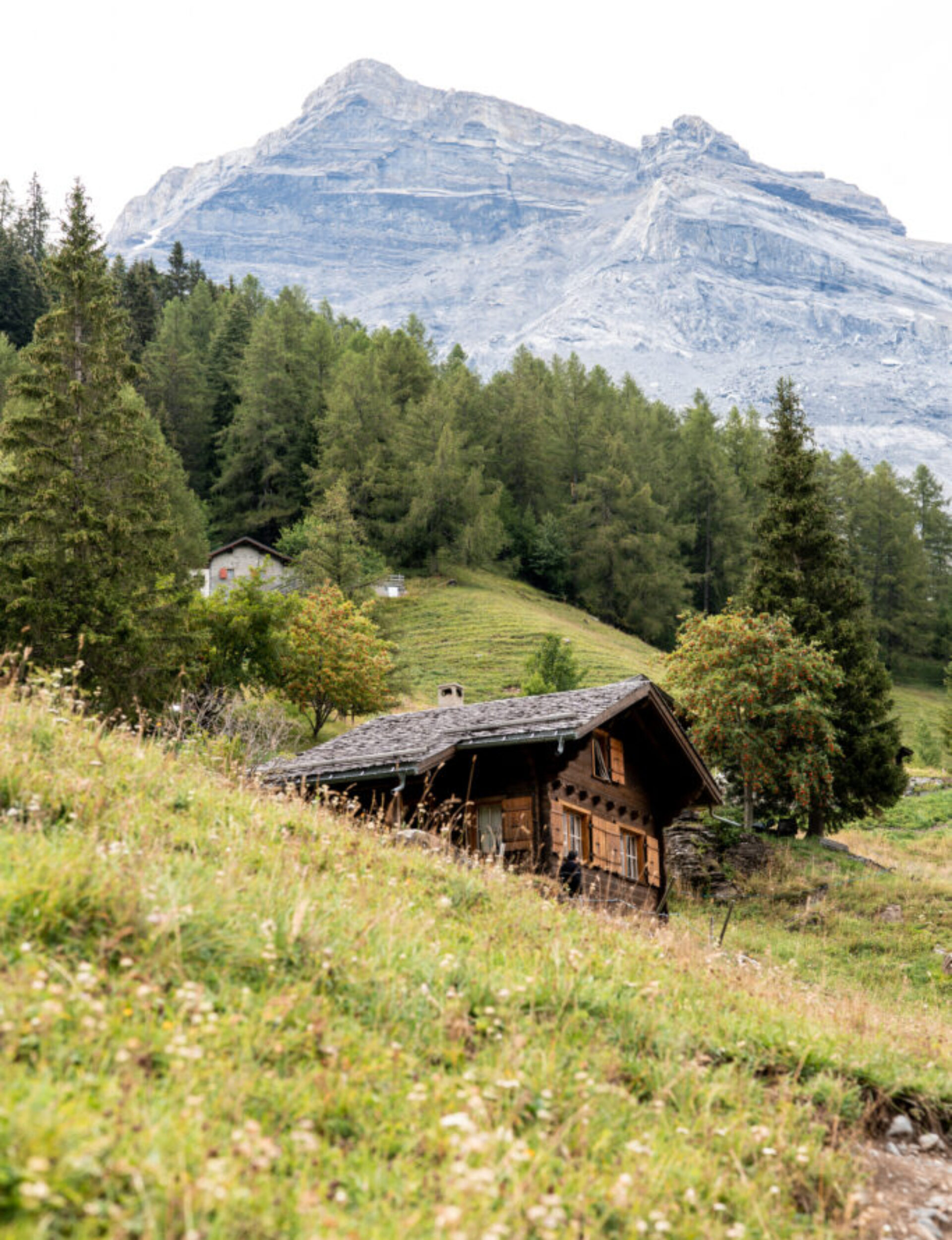 Refined living amid majestic landscapes.